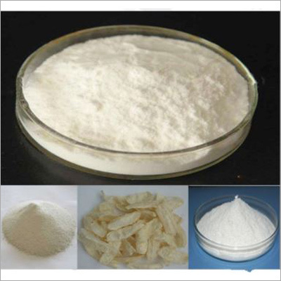 Organic Bio Fertilizer