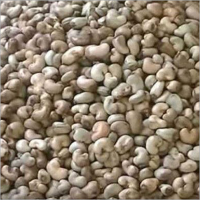 Raw Cashew Nuts
