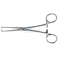 Allis Tissue Forcep By Jain Laboratory Instruments Private Limited