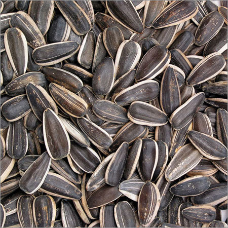 Sunflower Seed Confec