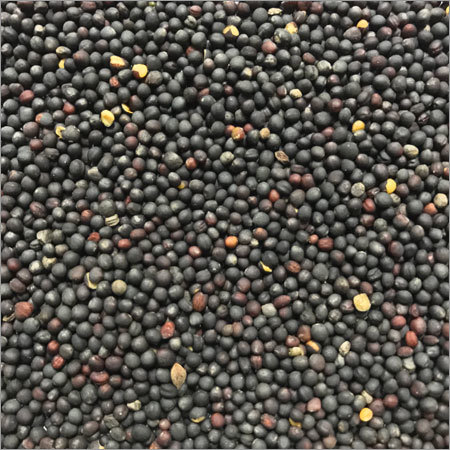 Seeds