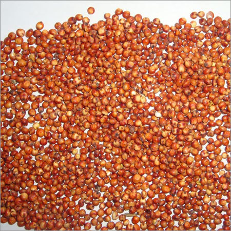 Red Sorghum