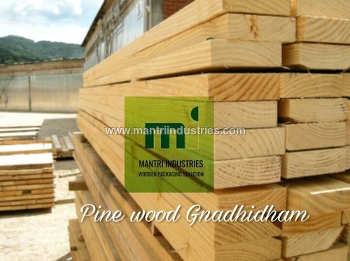 new zealand pine wood supplier in Gnadhidham