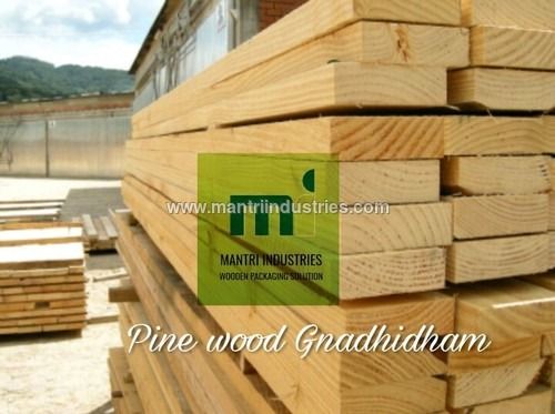 new zealand pine wood supplier in Gnadhidham