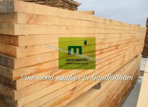 Pine wood supplier in gandhidham