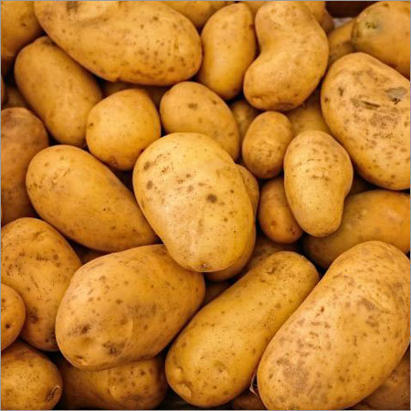 Organic Potato
