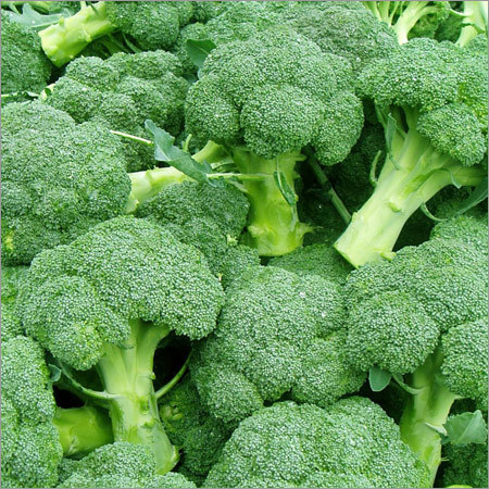 Organic Broccoli