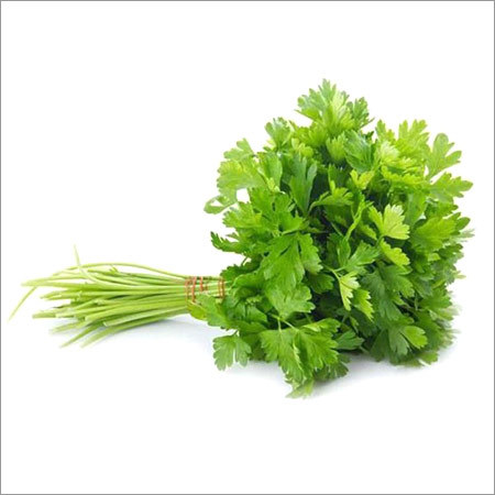 Coriander Leaves