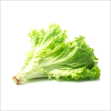 Lettuce