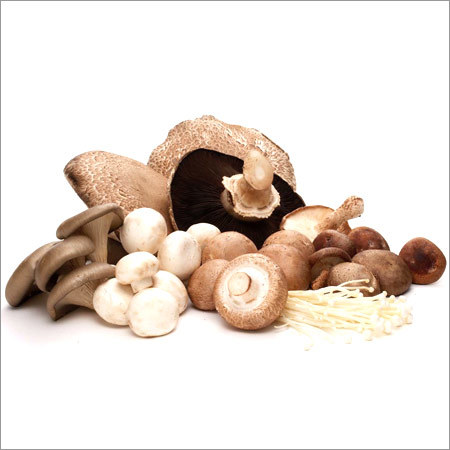 Mushrooms