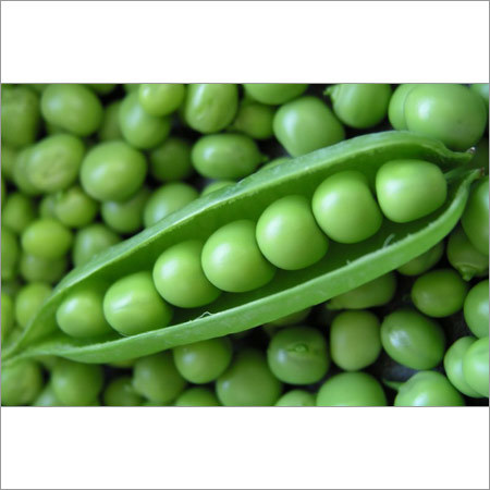 Pea