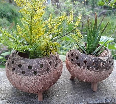 Coconut Shell Handicraft