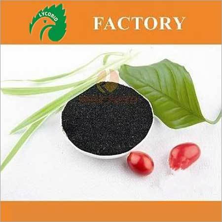 Seaweed Extract Alginate