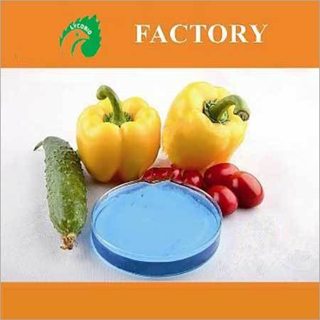 Npk Te Fertilizer