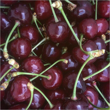 Premium Cherry