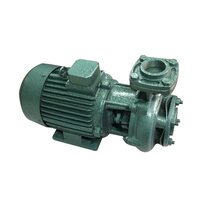 Monoblock Pump