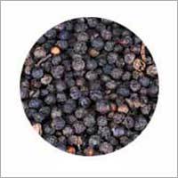 Black Pepper