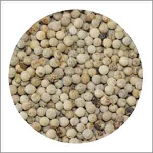 DW Faq White Pepper
