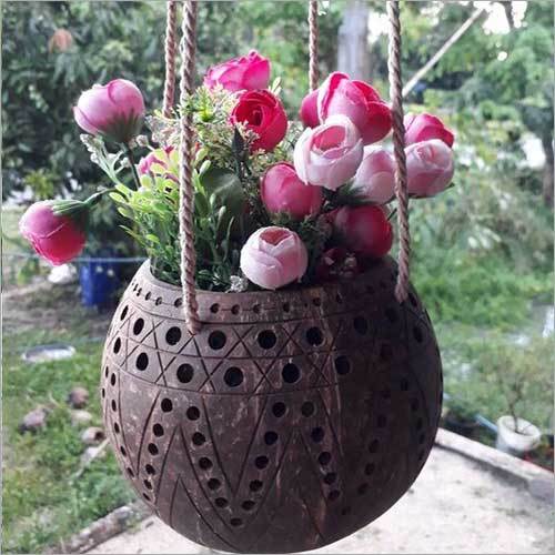 Coconut Shell Plant Pots