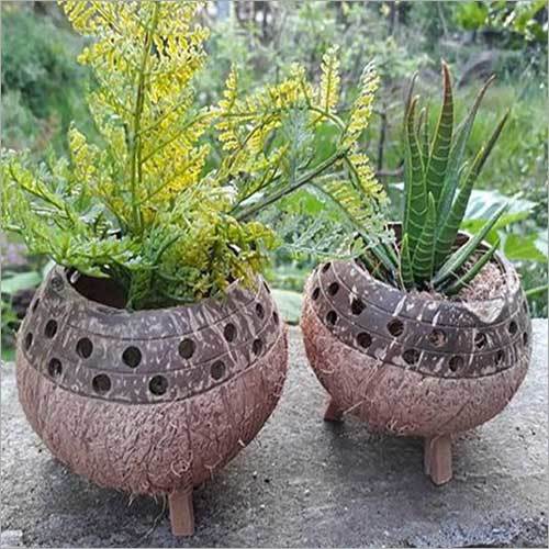 Coconut Shell Hanging Planter Pots