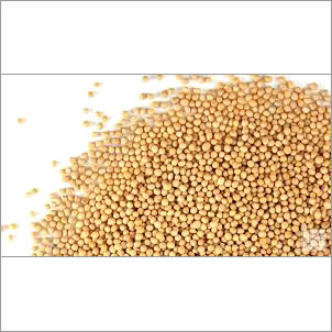 Organic Mustard