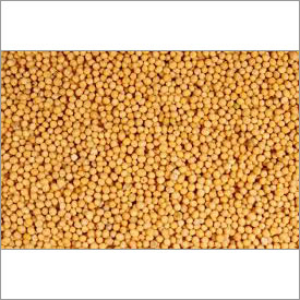 Yellow Mustard