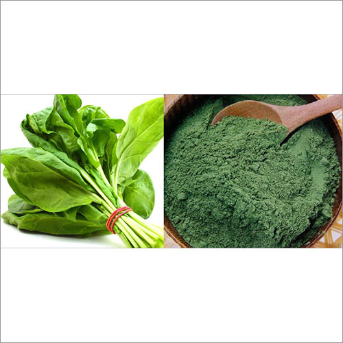 Palak Powder