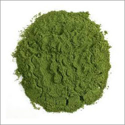 Spinach Powder