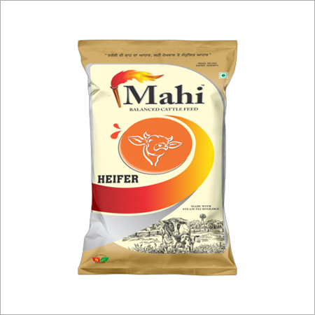 MAHI HEIFER