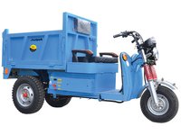 Blue E Cart (battery Operated Vehicle)