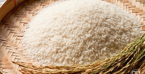 Rice