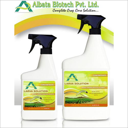 Larva Solution