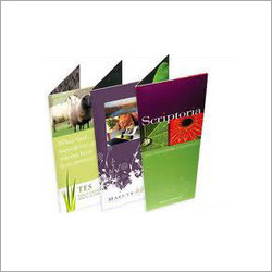 Brochure Printing Services