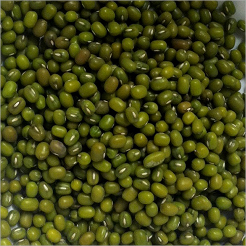 Green Mung Beans Green Mung Beans
