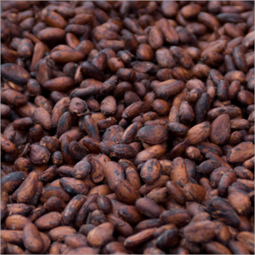 Cocoa Beans
