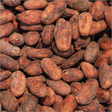 Organic Cocoa Beans