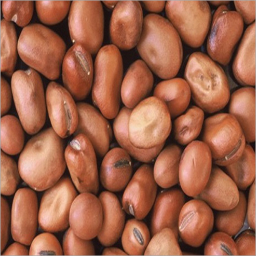 Broad Beans