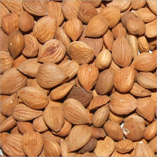 Apricot Kernel
