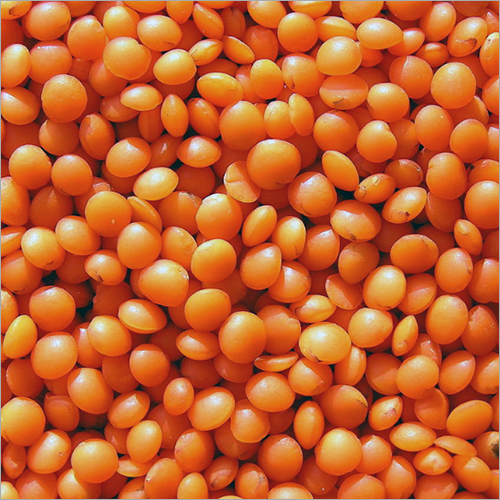 Whole Red lentils