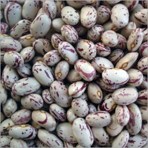 Organic Red Kidney Beans (Rajma ) Organic Red Kidney Beans (Rajma )