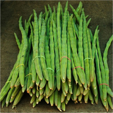 Fresh Drumsticks