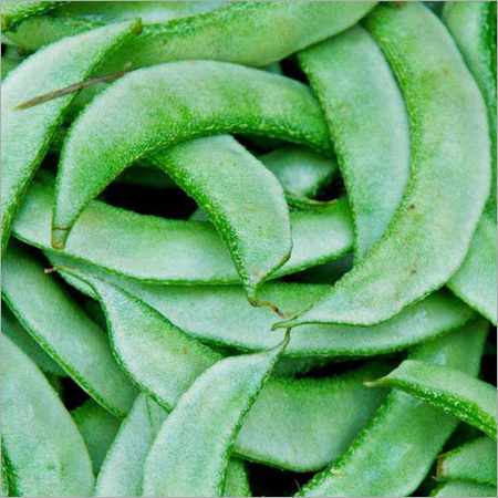 Fresh Green Beans