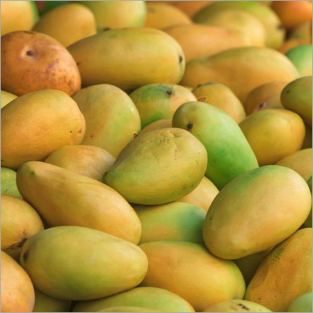 Fresh Mango