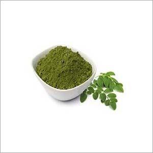 Moringa oleifera