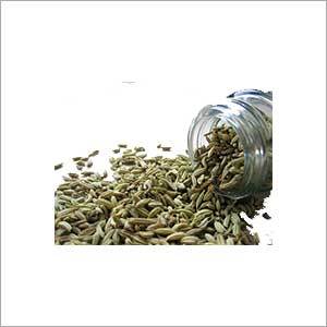 Fennel Extract