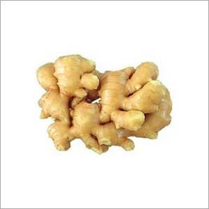 Ginger extract