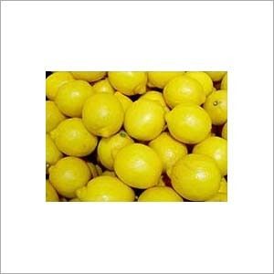 Lemon Fruit Extract