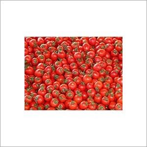 Tomato Extract