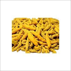 Turmeric Extract