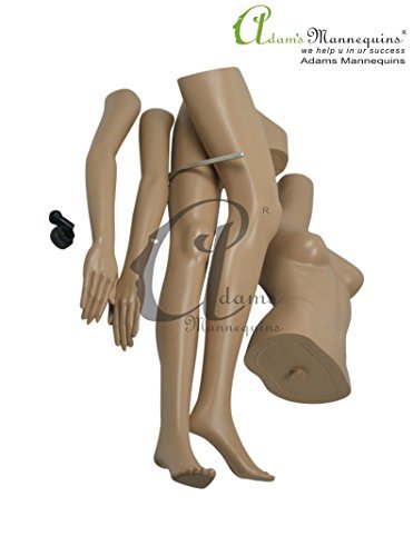 Female Realistic Plastic Mannequin Age Group: Adults
